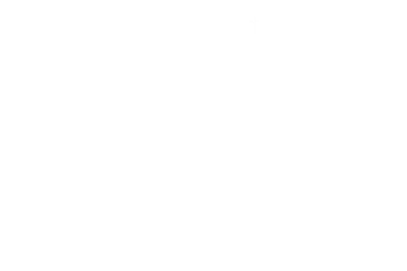 ARAGON DIDIER PEINTURE DECORATION